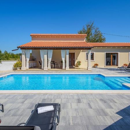 Villa Desapemani Žminj エクステリア 写真