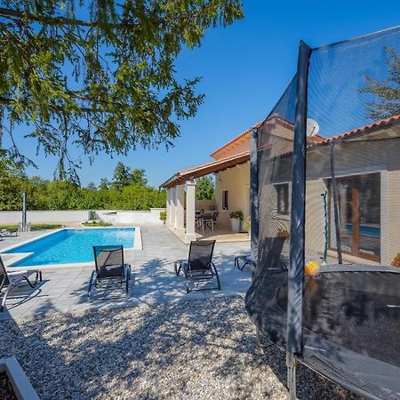 Villa Desapemani Žminj エクステリア 写真